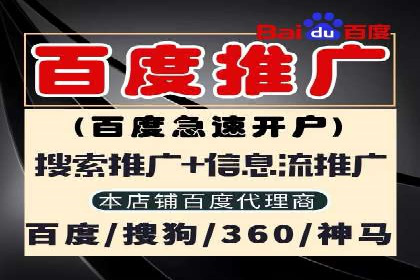 Sem优化公司成功案例：快速占领市场